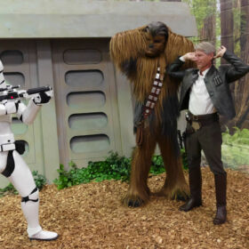 Han Solo und Chewbacca werden verhaftet