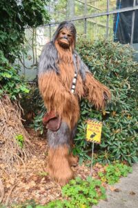 Base Franchise Officer (BFO) Heiko aka Binzer the Wookiee als Chewbacca